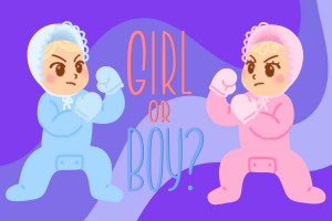 Gender Reveal Versiering
