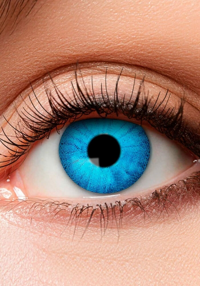 Weeklenzen Ijskoning - Festivales