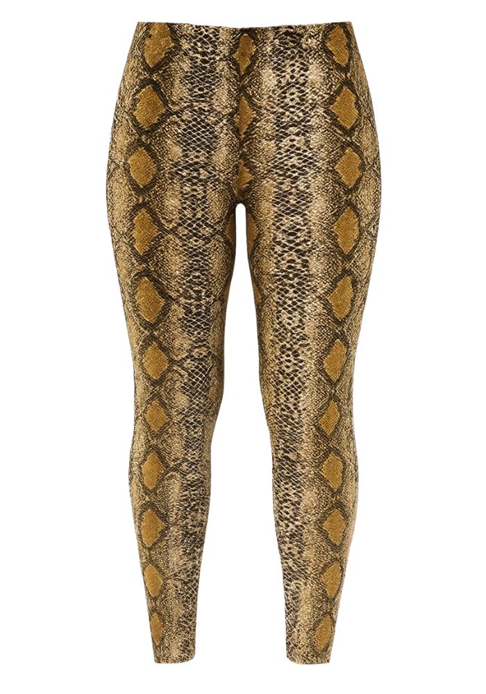 Legging Snake - Festivales