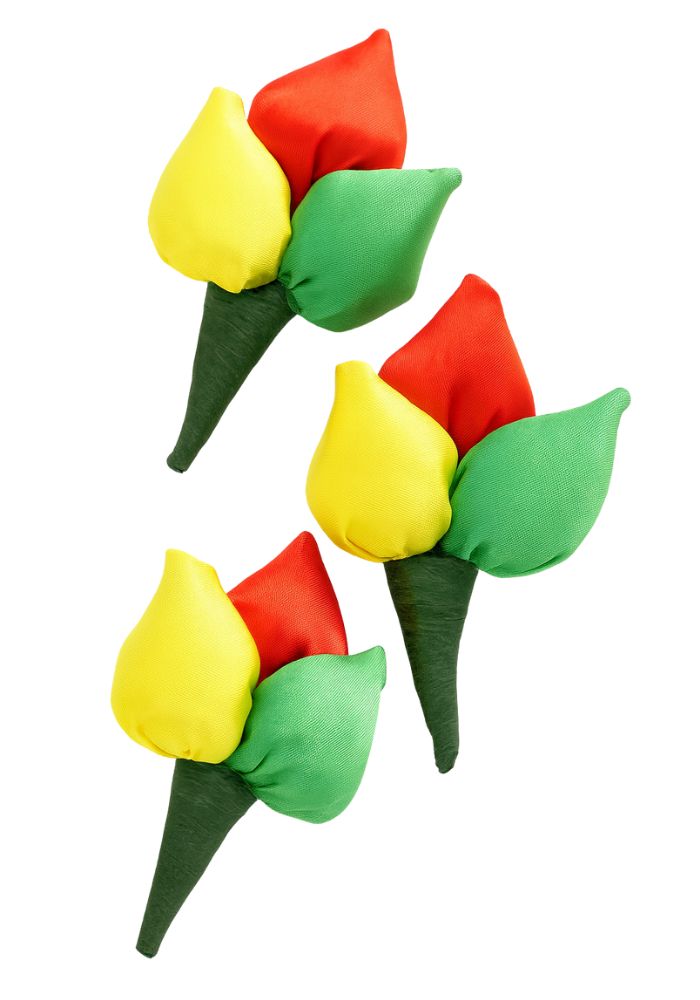 Tulpen Broches Limburg Vastelaovend - Festivales