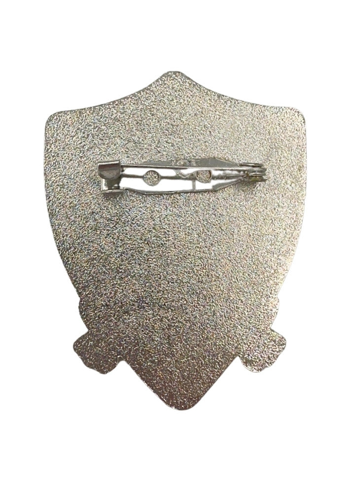 Oeteldonk Pin Kikker Broche 2 - Festivales