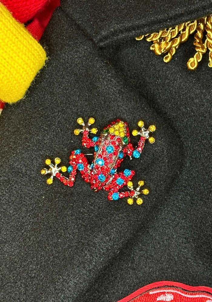 Broche kikker multicolor - Festivales