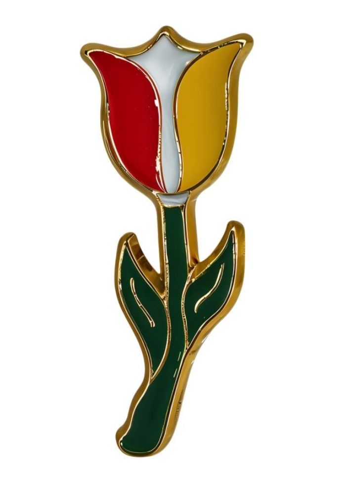 Oeteldonk Pin Tulp - Festivales