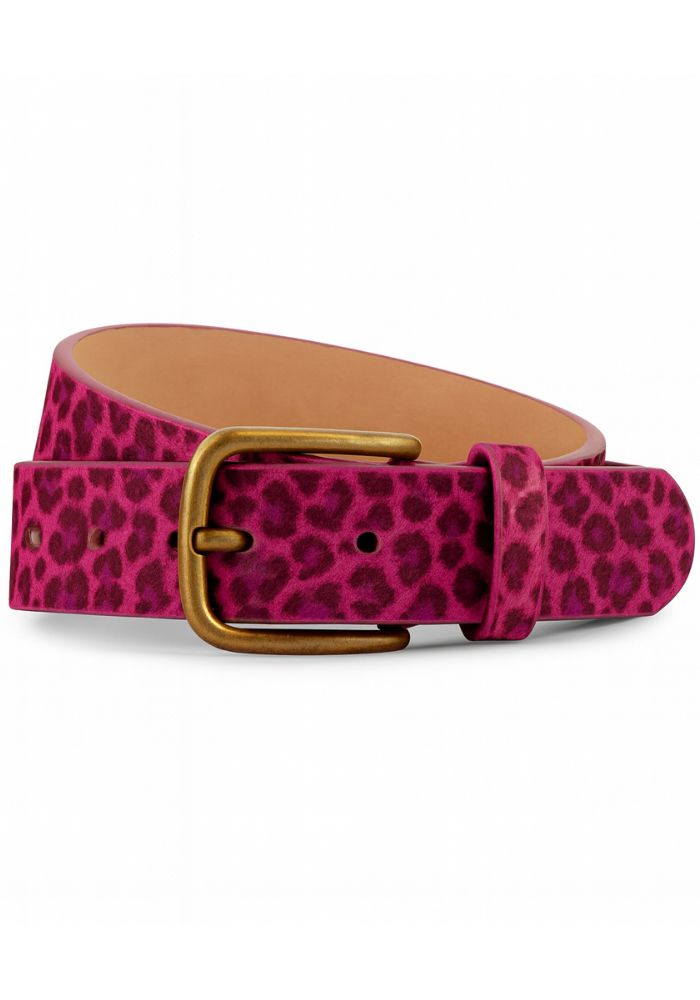 Roze Panter Riem - Festivales