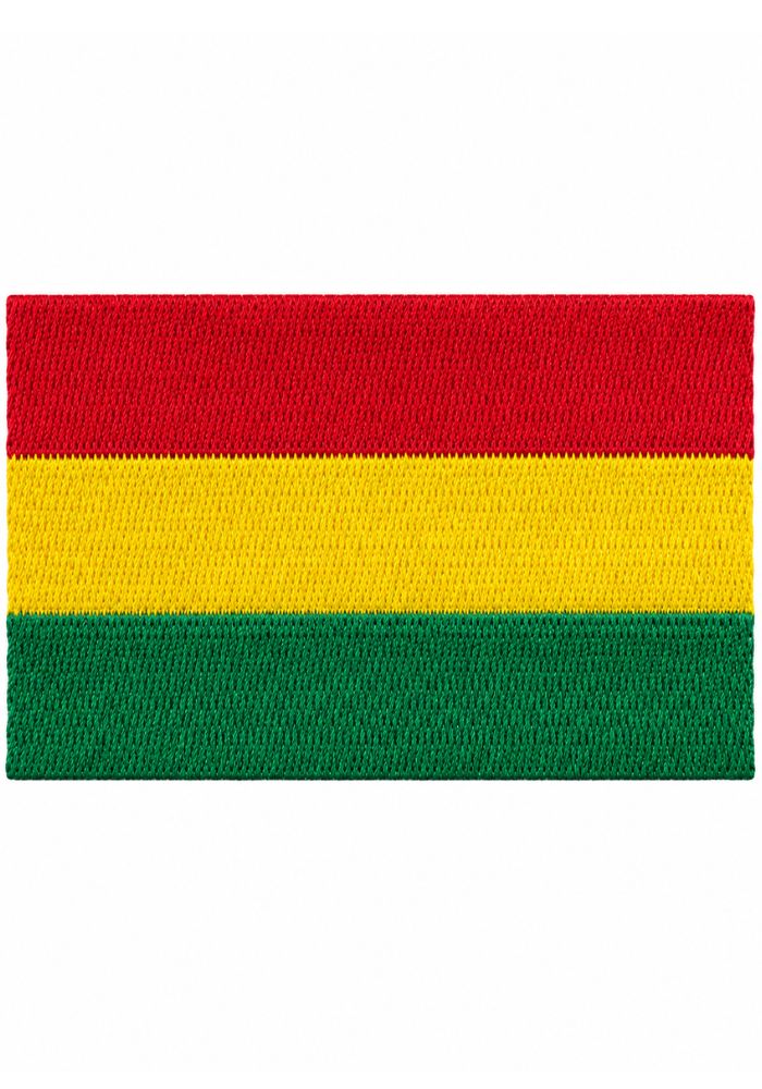Vlag - Vastelaovend Embleem - Festivales