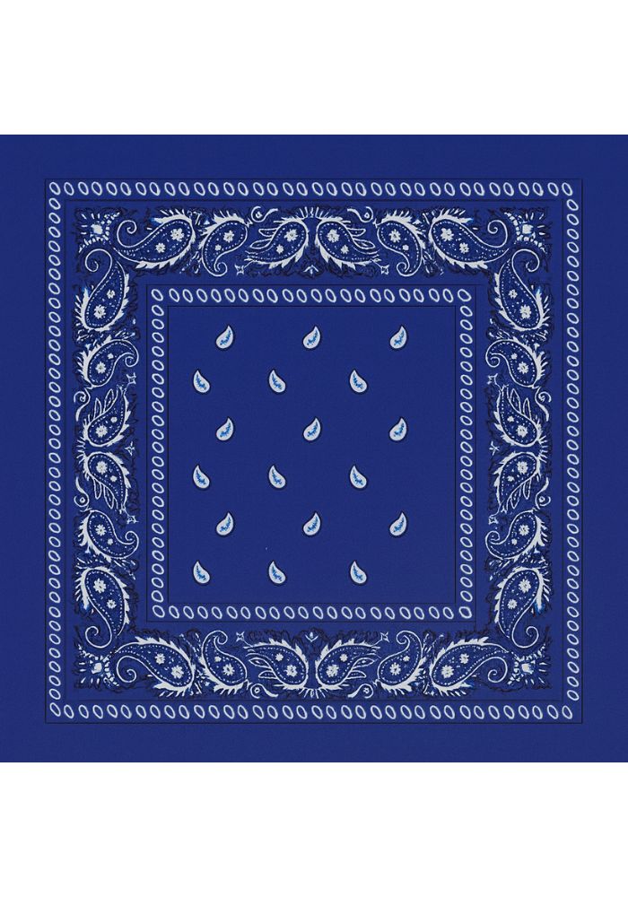 Zakdoek Blauw - Festivales