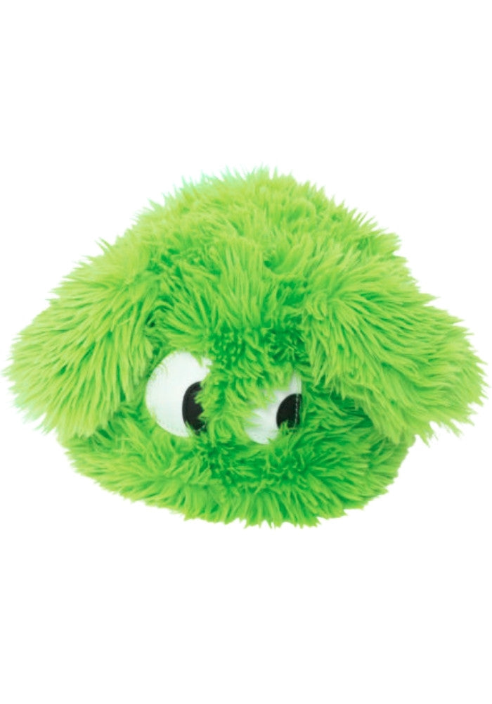 Bontmuts Met Ogen Groen - Festivales