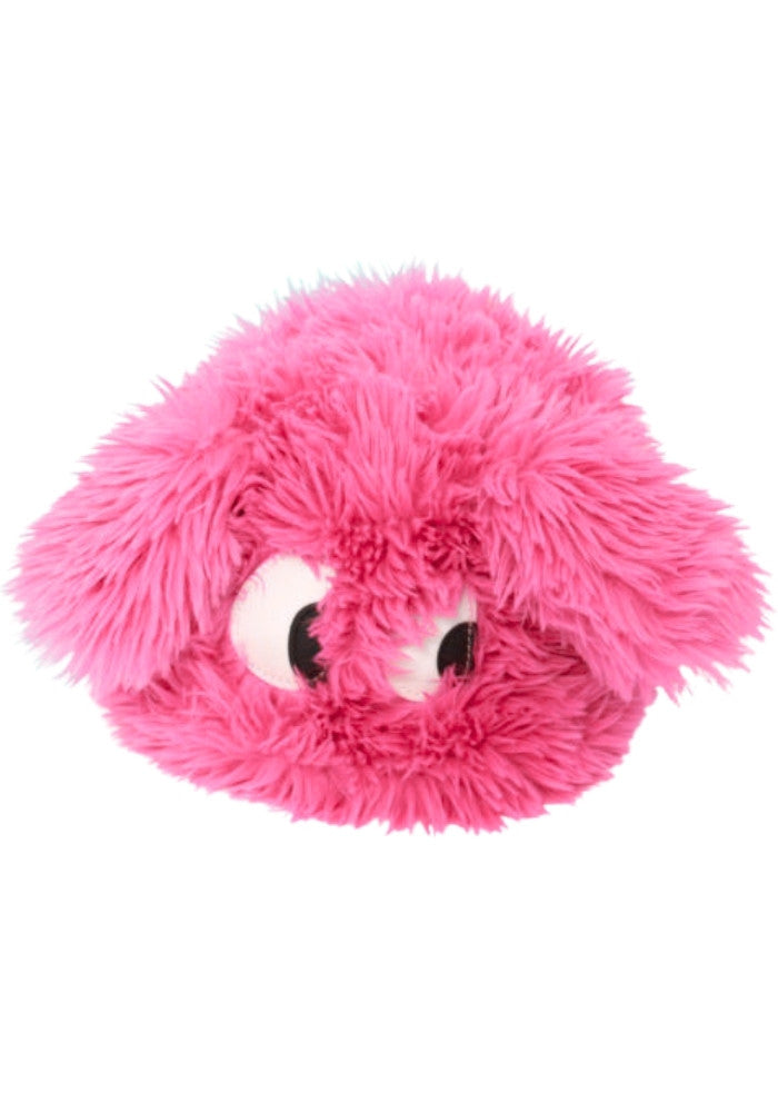 Bontmuts Met Ogen Roze - Festivales