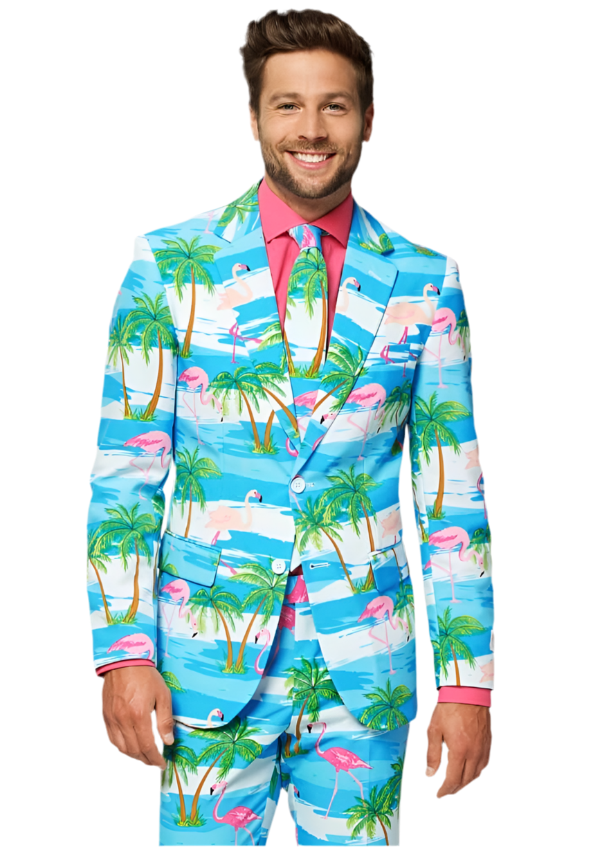 Carnavalsjas Kostuum Flaminguy - OppoSuits - Festivales