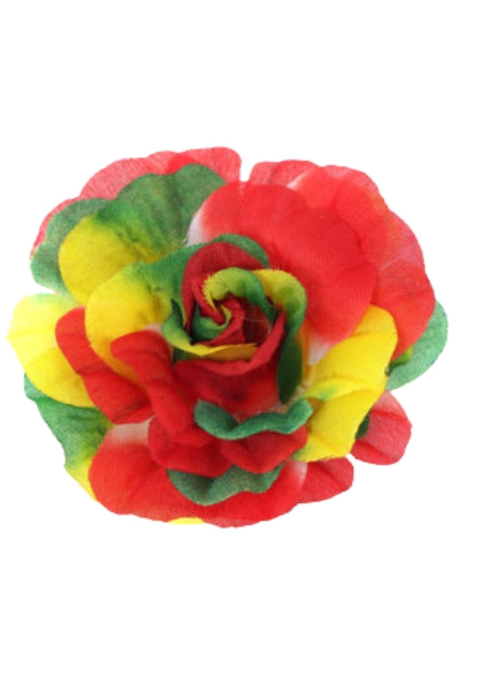 Limburg Bloem - Festivales