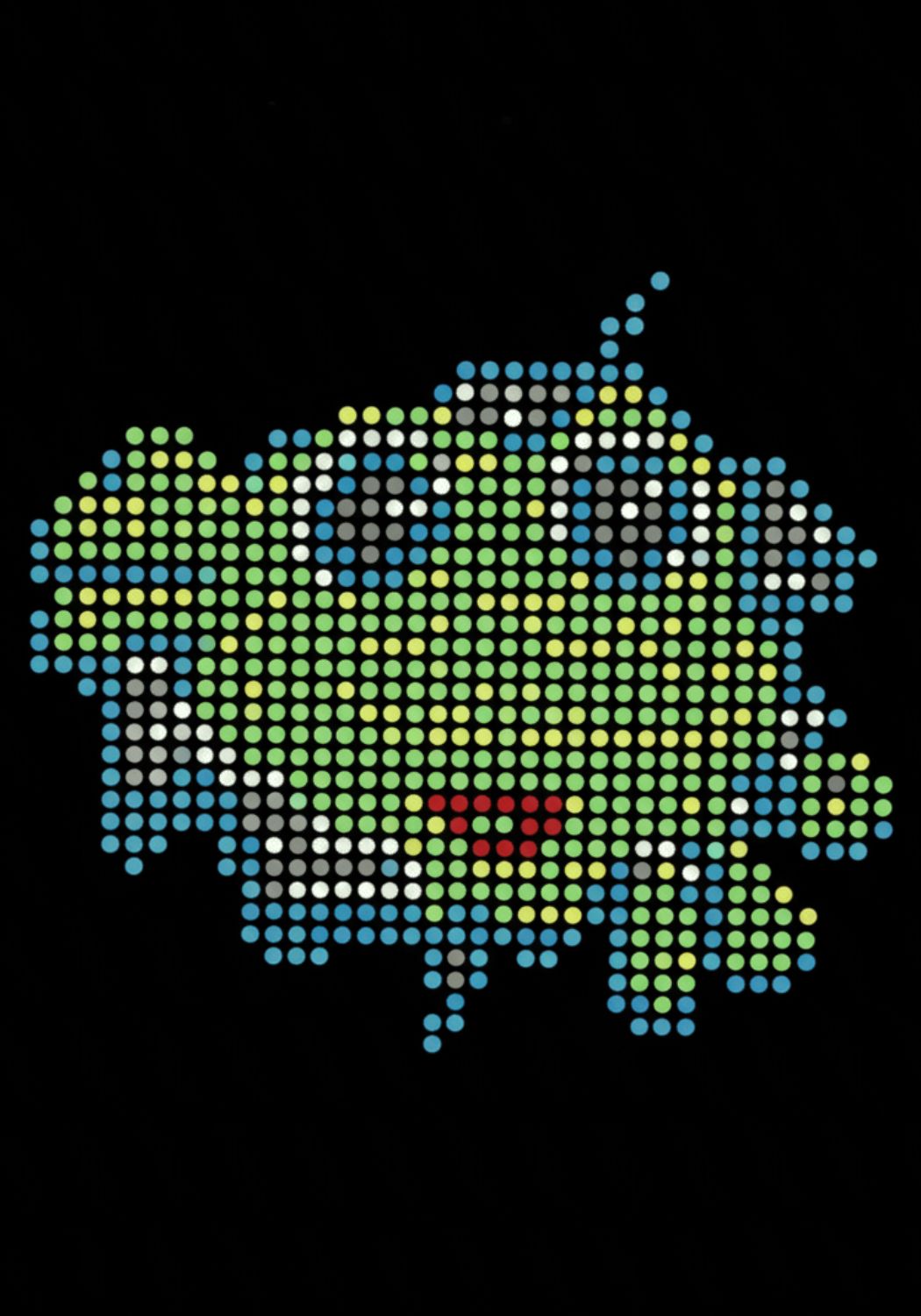 Strass Embleem - Kikker Klein - Festivales