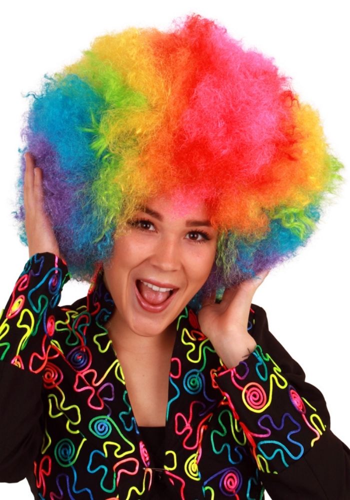 Pruik Afro Regenboog