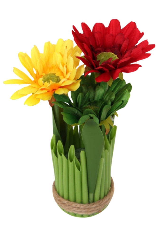 Vastelaovend 3 Gerbera's - Festivales