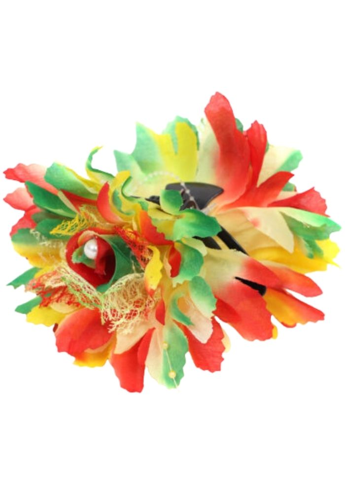 Haarklem Vastelaovend - Festivales